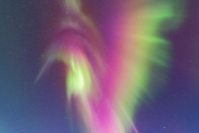 مرغ مگسخوار رنگارنگ در آسمان نروژ مرغ مگسخوار رنگارنگ در آسمان نروژ