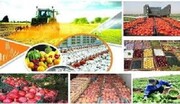 فریاد کشاورزان خراسان شمالی از تنگناهای تولید