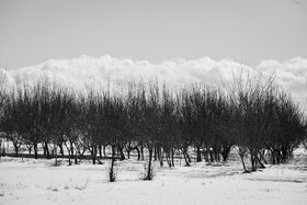 مزارع روستای قودجانک که مردم این روستا از اقوام گرجی و بختیاری می‌باشند.