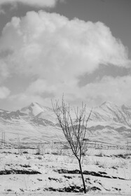 مزارع روستای قودجانک که مردم این روستا از اقوام گرجی و بختیاری می‌باشند.