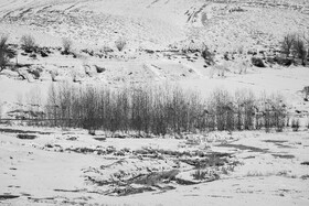 مزارع روستای غرغن که مهم‌ترین محصولات این منطقه سیب‌زمینی، ذرت، گندم، پیاز، و حبوبات است و سالانه حدود ۱۰۰ هزار تن سیب‌زمینی از فریدن برداشت می‌شود.