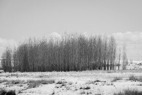 مزارع روستای غرغن که مهم‌ترین محصولات این منطقه سیب‌زمینی، ذرت، گندم، پیاز، و حبوبات است و سالانه حدود ۱۰۰ هزار تن سیب‌زمینی از فریدن برداشت می‌شود.