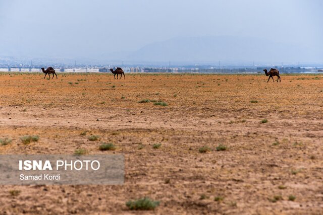 ۸ روستای مجاور تالاب صالحیه خالی از سکنه شده‌ است!