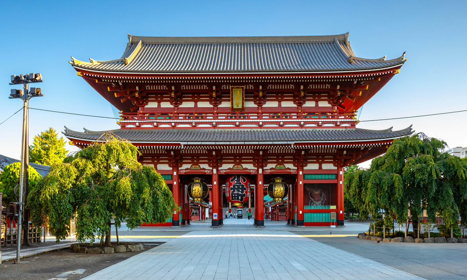 تورهای لوکس نوروز 1404: تجربهای بینظیر از سفر به ژاپن