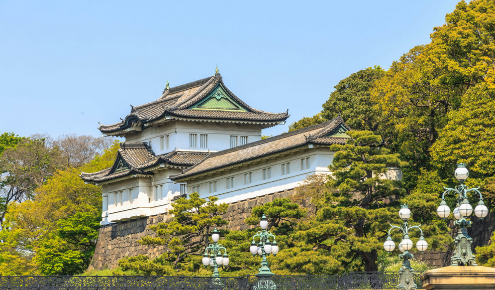 تورهای لوکس نوروز 1404: تجربهای بینظیر از سفر به ژاپن