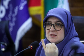 دیدار فاطمه مهاجرانی، سخنگوی دولت با فعالان رسانهای استان بوشهر