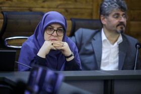 دیدار فاطمه مهاجرانی، سخنگوی دولت با فعالان رسانهای استان بوشهر