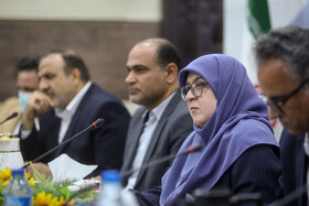 دیدار فاطمه مهاجرانی، سخنگوی دولت با بانوان کنگان و عسلویه