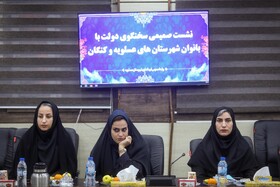 دیدار سخنگوی دولت با بانوان کنگان و عسلویه