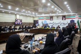 دیدار فاطمه مهاجرانی، سخنگوی دولت با بانوان کنگان و عسلویه