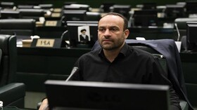 شیرین ‌زاد: تعداد نمایندگان مجلس افزایش پیدا کند