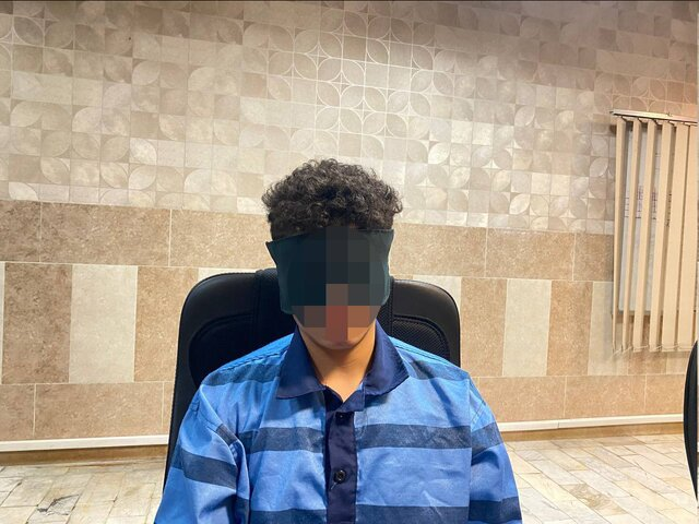 دستگیری متهمان قتل دانشجوی دانشگاه تهران/ محکومیت سه سارق خشن به اعدام در کرج/ صدور کیفرخواست برای سارقین مسلح