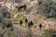 تحلیلگران صهیونیست: سوق دادن لبنان به جنگ داخلی از اول هدف اسرائیل بود