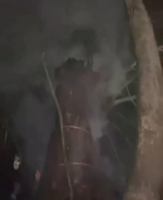 آتش گرفتن چنار تاریخی برغان آتش گرفتن چنار تاریخی برغان