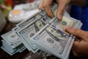 چرا مقاومت دلار شکست؟/ نرخ ارز برای بانک مرکزی قابل کنترل است