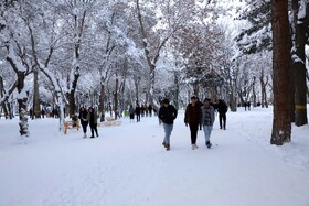 بارش برف در شهرستان اهر