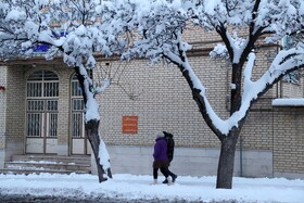 بارش برف در شهرستان اهر