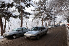 بارش برف در شهرستان اهر