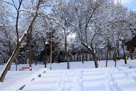 بارش برف در شهرستان اهر