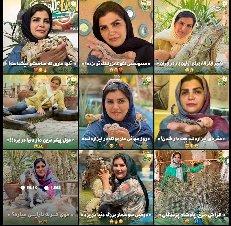 پای حیوانات وحشی به خانه انسانها باز شد؟