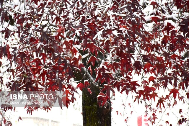برفروبی معابر شهری آستارا با ۱۶۰ نیرو در حال انجام است