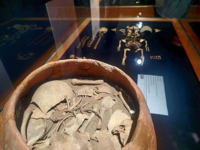 نوزاد ۶۵۰۰ سالهای که نزدیک بود برای همیشه غرق شود