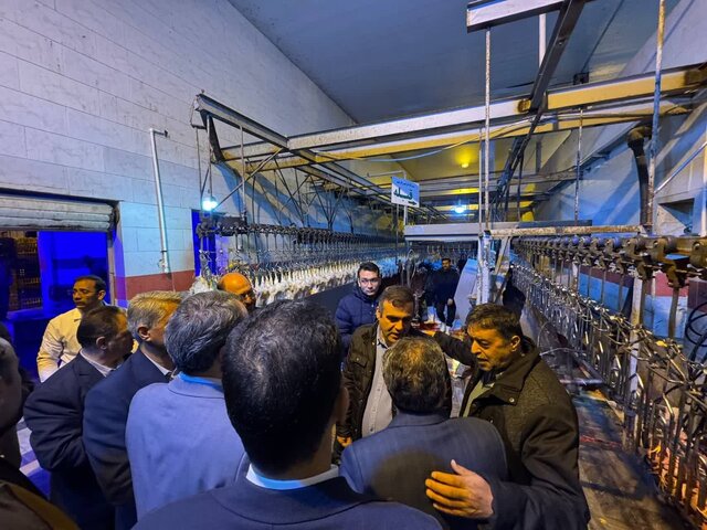 راهاندازی کشتارگاه تمام اتوماتیک در سمنان