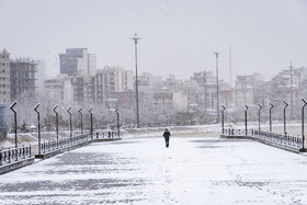 بارش برف در ساری