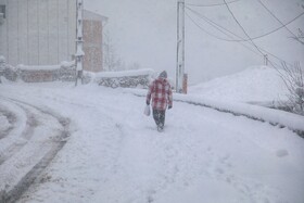 بارش سنگین برف در شهرستان سوادکوه مازندران