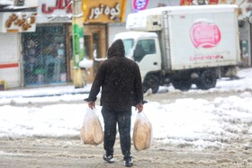 بارش سنگین برف در شهرستان سوادکوه مازندران