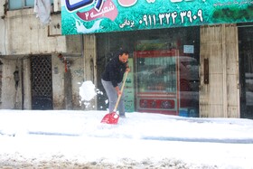 بارش سنگین برف در شهرستان سوادکوه مازندران