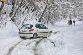 بارش سنگین برف در شهرستان سوادکوه مازندران