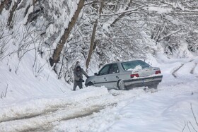 بارش سنگین برف در شهرستان سوادکوه مازندران