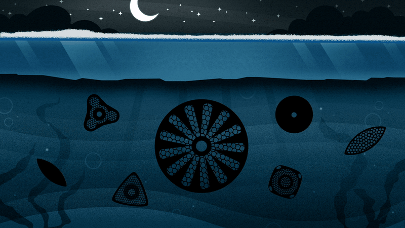 چگونه زندگی در تاریکترین شرایط ادامه مییابد؟