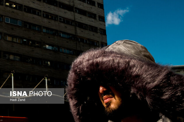 رفتارهای جزیرهای و انقراض یوزپلنگها، دمای زیر صفر درجه و...