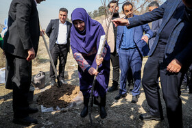 مراسم روز درختکاری با حضور شینا انصاری، رییس سازمان محیط زیست و برخی سفرای خارجی مقیم ایران