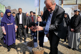 مراسم روز درختکاری با حضور شینا انصاری، رییس سازمان محیط زیست و برخی سفرای خارجی مقیم ایران