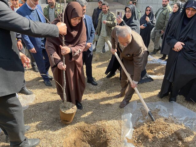 وزیر آموزش و پرورش «سنجد» کاشت