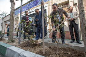 کاشت ۳ اصله نهال توسط جهاد دانشگاهی به یاد شهدای ایسنا