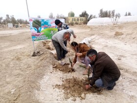 آئین درختکاری در بقعه تاریخی و مذهبی «بی بی دوست» زابل برگزار شد