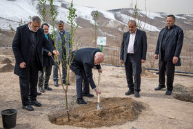 کاشت نهال توسط محمدباقر قالیباف، رئیس مجلس شورای اسلامی، در حاشیه افتتاح طرح کمربند سبز شهر تهران