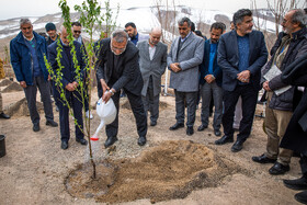 کاشت نهال توسط علیرضا زاکانی، شهردار تهران در آیین افتتاح طرح کمربند سبز شهر تهران