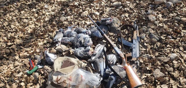 شکار غیرمجاز عاملی برای برهم خوردن تعادل اکوسیستم است شکار غیرمجاز عاملی برای برهم خوردن تعادل اکوسیستم است