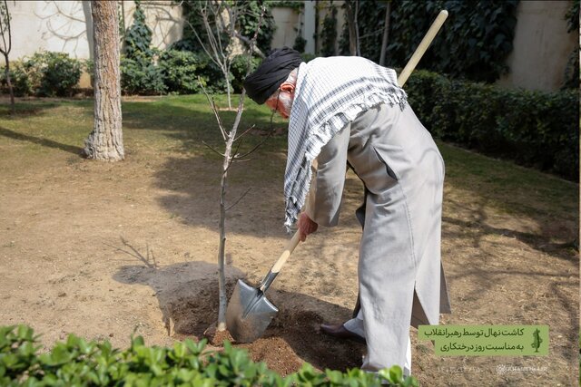 کاشت سه نهال توسط رهبر انقلاب در روز درختکاری کاشت سه نهال توسط رهبر انقلاب در روز درختکاری
