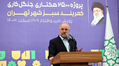 قالیباف: جدیتی که در حفظ یک نهال وجود دارد باید در امید دادن به جوانان نیز باشد قالیباف: جدیتی که در حفظ یک نهال وجود دارد باید در امید دادن به جوانان نیز باشد