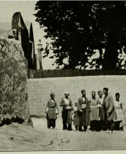 آتشسوزی درختان «خانهباغ تاریخی» سمنان در روز درختکاری