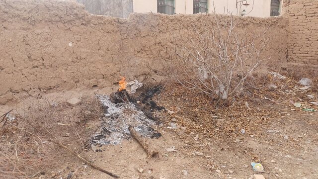 آتشسوزی درختان «خانهباغ تاریخی» سمنان در روز درختکاری