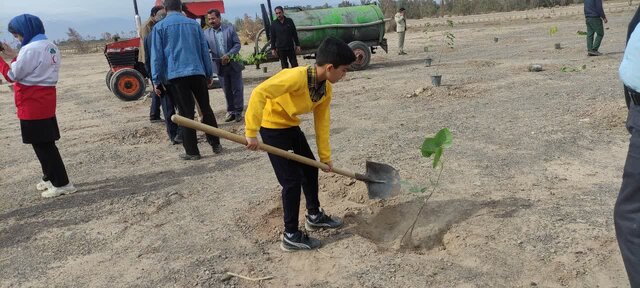 کاشت ۱۰ هزار اصله درخت در بم طی سال جاری