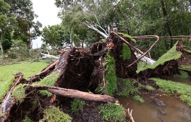 عکس: رویترز طوفان «آلفرد» در استرالیا و دستور تخلیه برای هزاران نفر