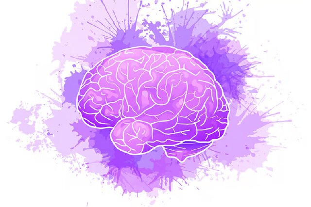 درمان آلزایمر با تقویت سلولهای ایمنی مغز درمان آلزایمر با تقویت سلولهای ایمنی مغز